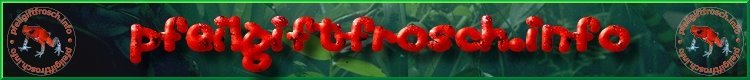 Pfeilgiftfrosch.info