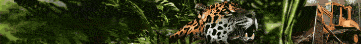 WWF _ Rettet den Amazonas