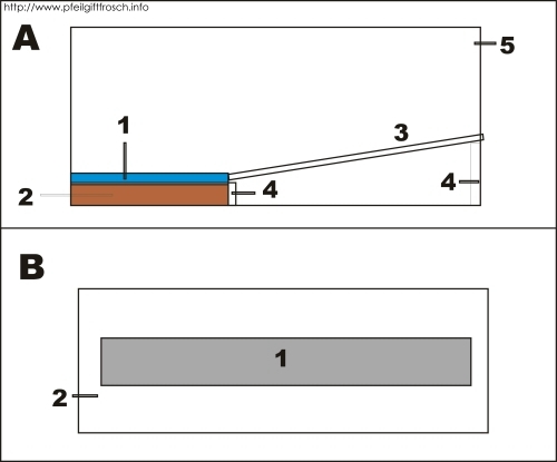 Aufzuchtbecken Mantella