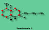 Pumilliotoxin C