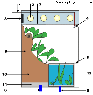 Paludarium