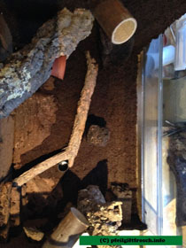 Bild 11